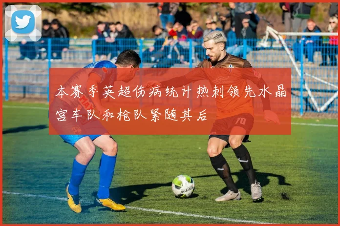 本赛季英超伤病统计热刺领先水晶宫车队和枪队紧随其后