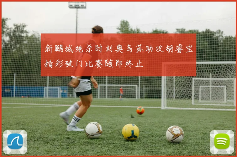 新鹏城绝杀时刻奥乌苏助攻胡睿宝精彩破门比赛随即终止