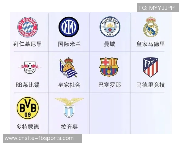 巴萨超350名会员涉嫌转售欧冠门票或面临会员资格取消